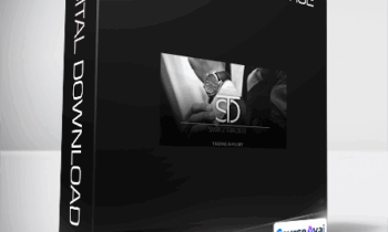 SwitzTrader - Forex Trading Course