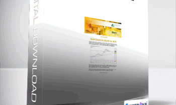Jason Hamlin - Gold Stock Bull