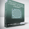 Victoria More - Cellular Illumination - a Journey of Conscious Embodiment