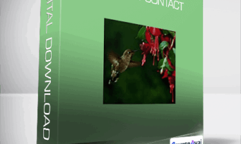 Virginia Satir - Making Contact