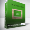 wall street prep - oil & Gas Modeling