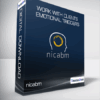 nicabm - Work with Clients Emotional Triggers