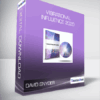David Snyder - Vibrational Influence 2020