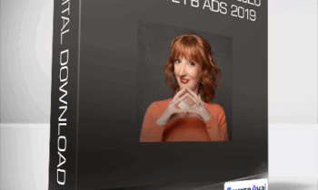 Claire Pelletreau 2020 - Absolute FB Ads 2019
