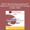 [Audio Only] BT02 Clinical Demonstration 09 - Hypnosis and Goal-Oriented Therapy - Michael Yapko