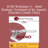 [Audio Only] BT06 Workshop 11 - Brief Strategic Treatment of the Anxiety Disorders - R. Reid Wilson