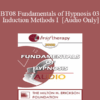 [Audio Only] BT08 Fundamentals of Hypnosis 03 - Induction Methods I - Stephen Gilligan