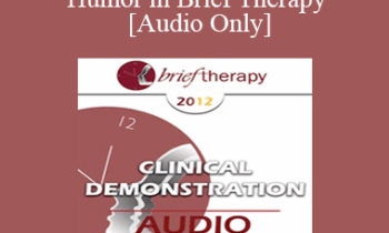 [Audio] BT12 Dialogue 03 - Humor in Brief Therapy - Steve Andreas