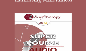 [Audio] BT12 Super Course 03 - Harnessing Mindfulness: Tailoring the Practice to the Problem - Ronald Siegel