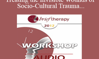 [Audio] BT12 Workshop 23 - Understanding & Treating the Invisible Wounds of Socio-Cultural Trauma - Kenneth Hardy