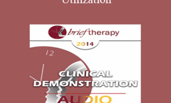 [Audio] BT14 Clinical Demonstration 01 - Utilization: The Foundation of Solutions - Jeffrey Zeig