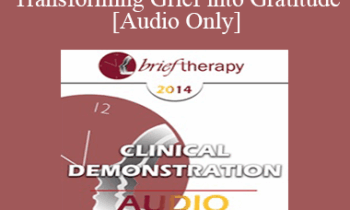 [Audio] BT14 Clinical Demonstration 02 - Transforming Grief into Gratitude - Steve Andreas