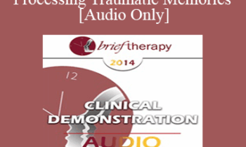 [Audio] BT14 Clinical Demonstration 09 - Processing Traumatic Memories - Bessel van der Kolk