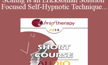 [Audio] BT14 Short Course 09 - Hypnotic Scaling is an Ericksonian Solution Focused Self-Hypnotic Technique That Allows Your Clients to Choose Freely Where to Move on Their Solution Scale - Paul Koeck