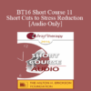 [Audio] BT16 Short Course 11 - Short Cuts to Stress Reduction - Helen Adrienne