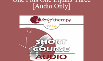 [Audio] BT16 Short Course 16 - One Plus One Equals Three: When Zen and Erickson Approach Anxiety Together - Wei Kai Hung