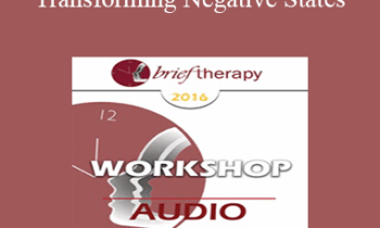 [Audio] BT16 Workshop 13 - Transforming Negative States: An Essential Skill in Generative Therapy - Stephen Gilligan