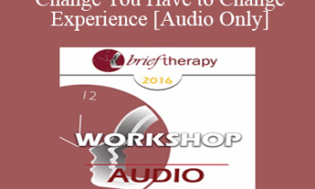 [Audio] BT16 Workshop 14 - To Experience Change You Have to Change Experience - Stephen Lankton