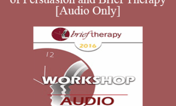 [Audio] BT16 Workshop 37 - The Science of Persuasion and Brief Therapy - Bill O’Hanlon