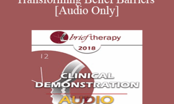 [Audio] BT18 Clinical Demonstration 08 - Transforming Belief Barriers - Robert Dilts
