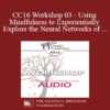 [Audio] CC16 Workshop 03 - Using Mindfulness to Experientially Explore the Neural Networks of Attachment - Rob Fisher