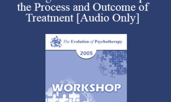 [Audio] EP05 Workshop 05 - Partnering with Clients to Improve the Process and Outcome of Treatment - Scott Miller