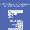 [Audio] EP09 Dialogue 10 - Mindfulness in Therapy - Stephen Gilligan