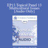 [Audio] EP13 Topical Panel 13 - Multicultural Issues - Robert Dilts