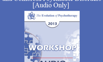 [Audio] EP13 Workshop 14 - Treatment of Individuals with PTSD and Comorbid Psychiatric Disorders: A Constructive Narrative Perspective - Donald Meichenbaum