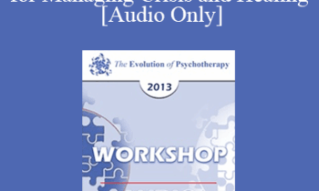 [Audio] EP13 Workshop 16 - The Hero's Journey as a Roadmap for Managing Crisis and Healing - Robert Dilts