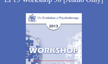[Audio] EP13 Workshop 30 - Out of the Blue: Six Non-Medication Way to Relieve Depression - Bill O'Hanlon
