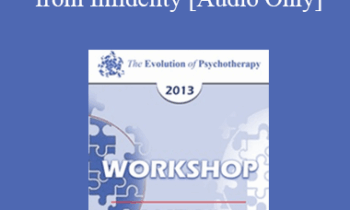 [Audio] EP13 Workshop 33 - Affairs: Helping Couples to Heal from Infidelity - Michele Weiner-Davis