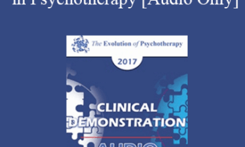 [Audio] EP17 Clinical Demonstration with Discussant 01 - Using Stories to Create Change in Psychotherapy - Bill O'Hanlon