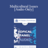 [Audio] EP17 Topical Panel 02 - Multicultural Issues - Robert Dilts
