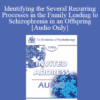 [Audio] EP90 Invited Address 05b - Identifying the Several Recurring Processes in the Family Leading to Schizophrenia in an Offspring - Mara Selvini Palazzoli
