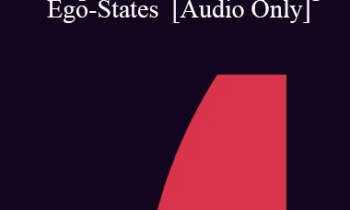 [Audio] IC04 Workshop 51 - Weaving New Identity Complexes from Competing Ego-States - Stephen Gilligan