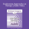 [Audio] IC80 General Session 15 - Ericksonian Approaches in Therapy - Charles R Stern