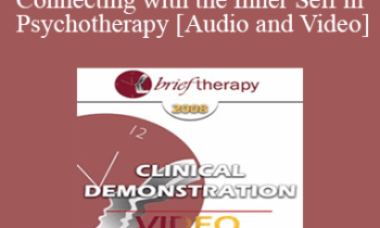 [Audio and Video] BT08 Clinical Demonstration 03 - Connecting with the Inner Self in Psychotherapy - Stephen Gilligan