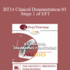 BT14 Clinical Demonstration 03 - Stage 1 of EFT: The Process of De-Escalation - Sue Johnson