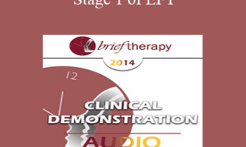 BT14 Clinical Demonstration 03 - Stage 1 of EFT: The Process of De-Escalation - Sue Johnson