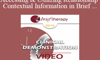 BT16 Clinical Demonstration 06 - Accessing & Utilizing Relationship and Contextual Information in Brief Therapy - Wendel Ray