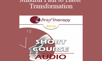 BT16 Short Course 40 - The Mindful Path to Habit Transformation: A Four Quadrant Model - Lawrence Peltz