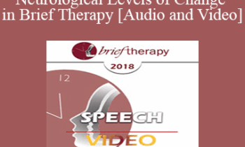 BT18 Speech 07 - Neurological Levels of Change in Brief Therapy - Robert Dilts