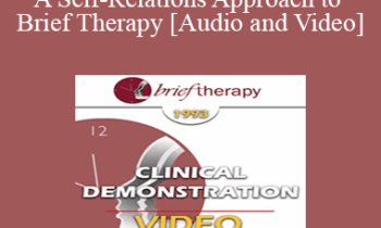 BT93 Clinical Demonstration 14 - A Self-Relations Approach to Brief Therapy - Stephen Gilligan