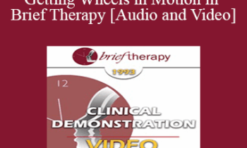 BT93 Clinical Demonstration 17 - Getting Wheels in Motion in Brief Therapy - Stephen Lankton