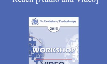 EP13 Workshop 03 - Reach: Pushing your Clinical Effectiveness to the Next Level - Scott Miller