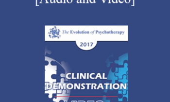 EP17 Clinical Demonstration 12 - Going off the Deep End: Rediscovering our Magical Roots in Healing and Psychotherapy - Scott Miller