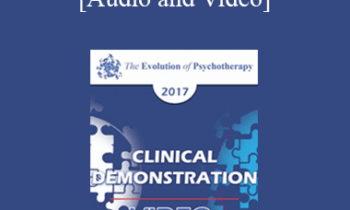 EP17 Clinical Demonstration with Discussant 06 - Evocative Psychotherapy - Jeffrey Zeig