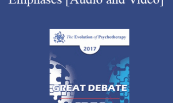 EP17 Great Debates 07 - Cognitive vs Experiential Emphases - Stephen Gilligan