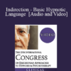 IC19 Fundamentals of Hypnosis 02 - Indirection - Basic Hypnotic Language - Steve Lankton